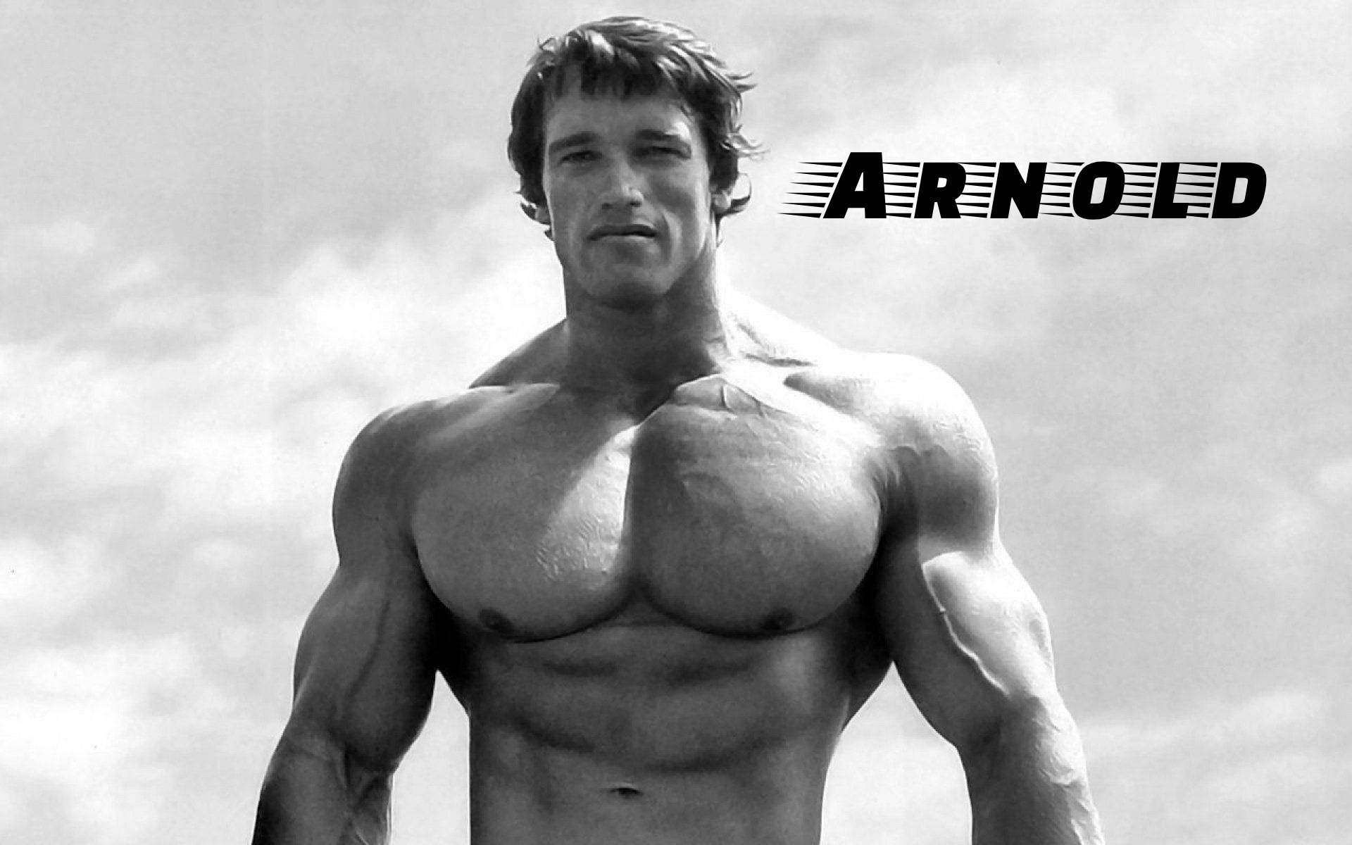 arnold schwarzenegger 1dy3lxwju06bax3h